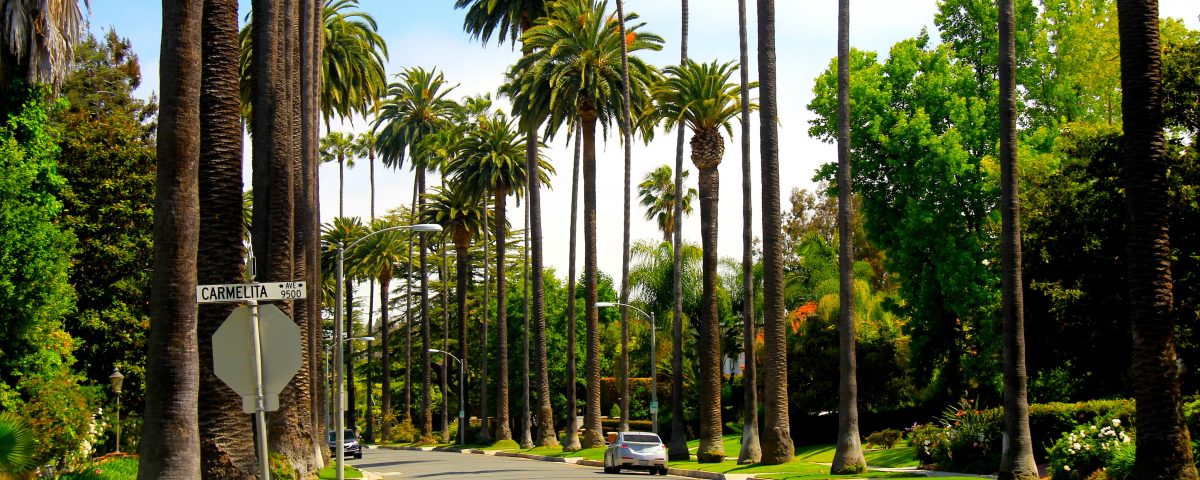 studiaza in USA foto Los Angeles