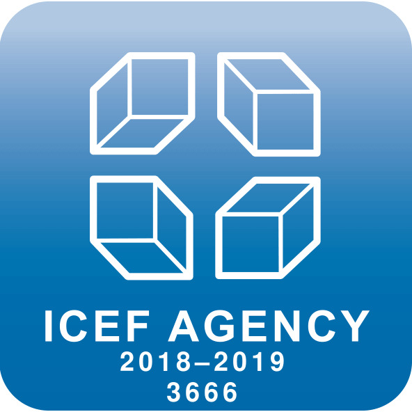 logo ICEF agentie educatie